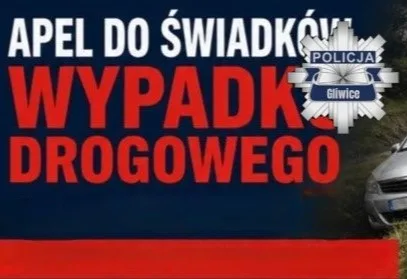 Poszukiwani świadkowie wypadku na Wilczych Dołach