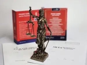 Zatrzymanie 19-latka w związku z serią przestępstw przeciwko mieniu